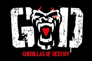 Guerrillas of Destiny