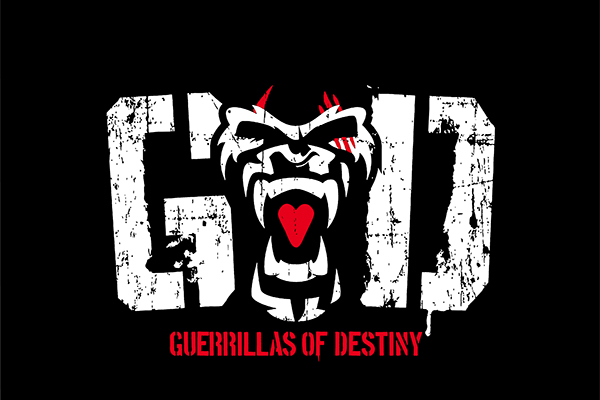 Guerrillas of Destiny